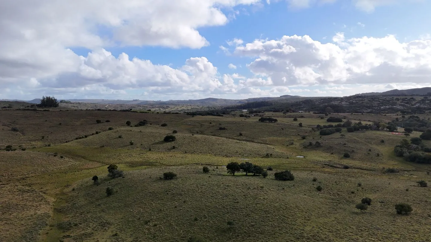 Chacra de 10ha en las sierras de Maldonado — foto 9
