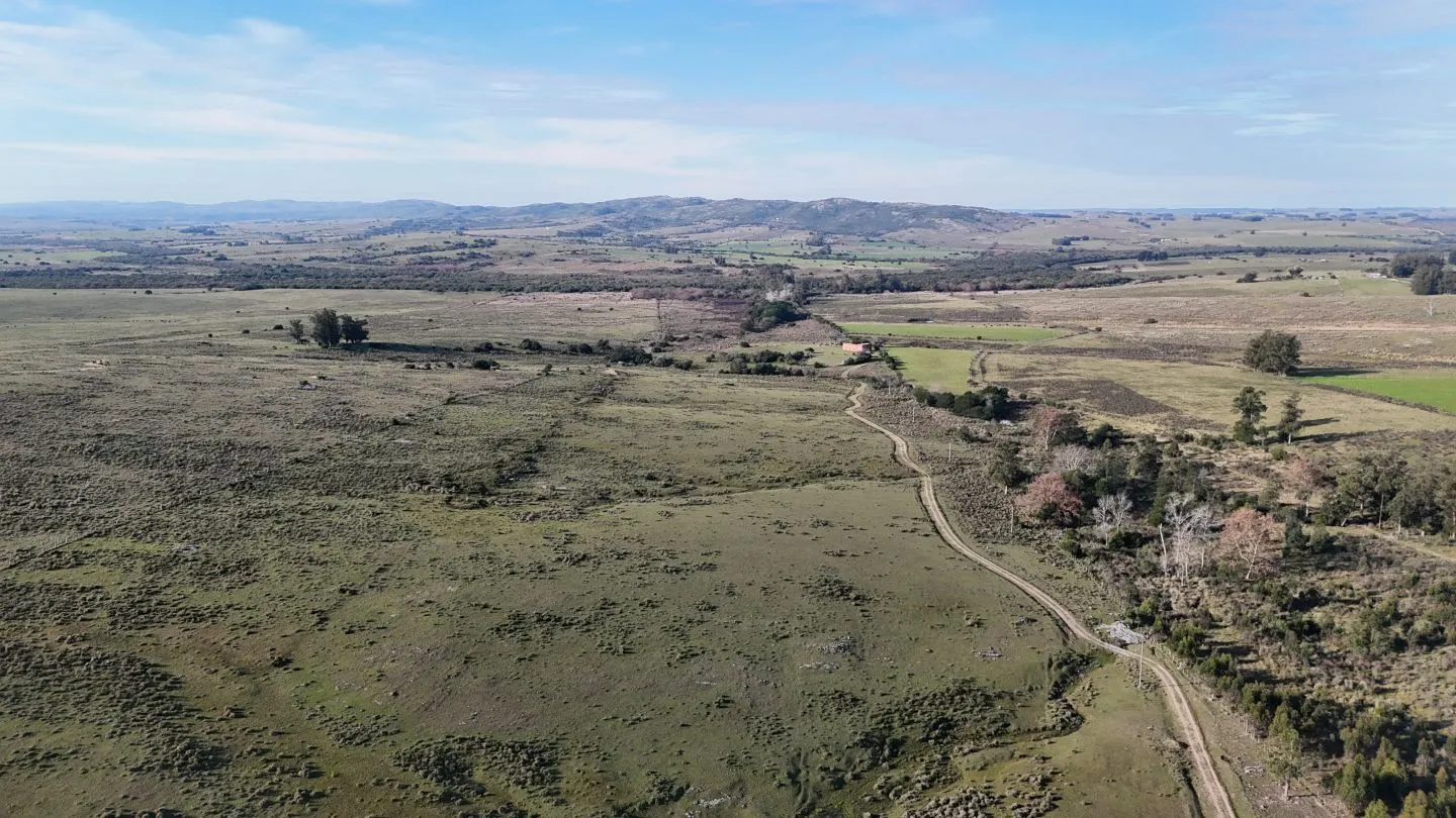 Campo de 36 ha en venta con casa y arroyo, Maldonado Uruguay. — foto 20
