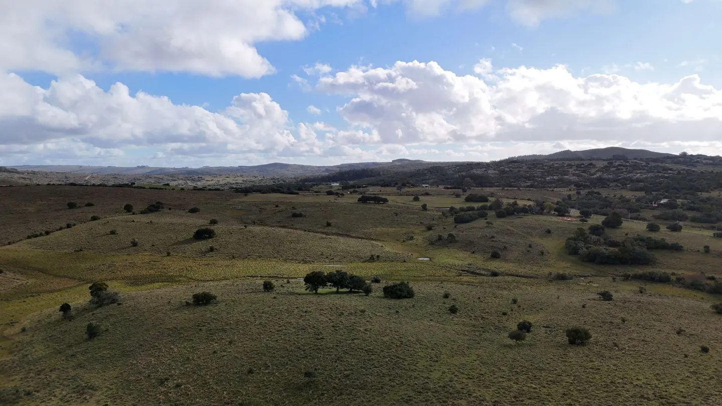 Chacra de 10ha en las sierras de Maldonado — foto 10