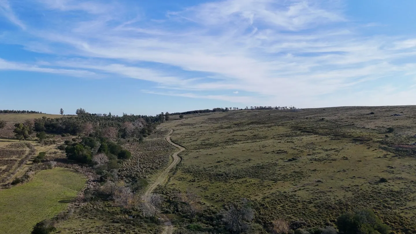 Campo de 36 ha en venta con casa y arroyo, Maldonado Uruguay. — foto 22
