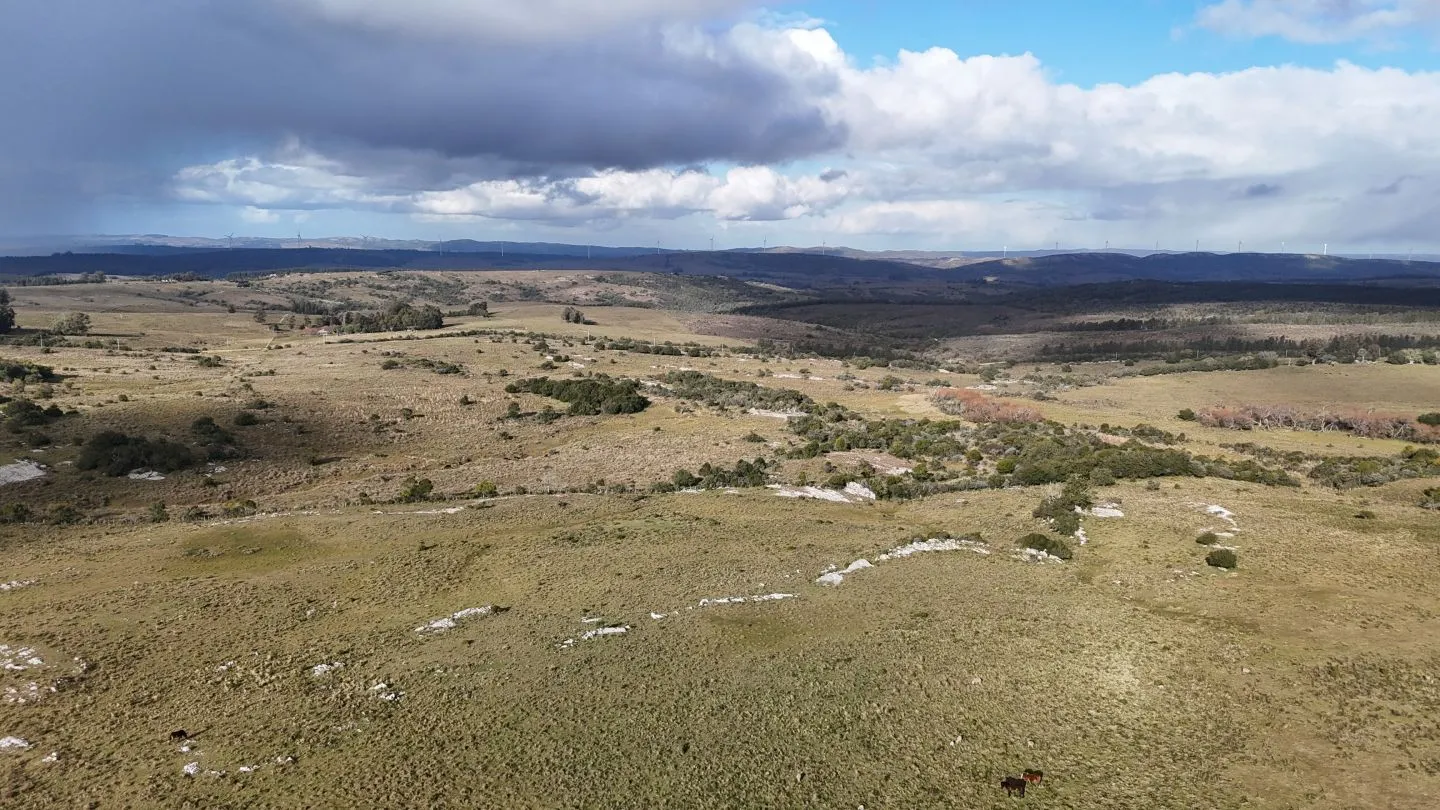 Chacra de 10ha en las sierras de Maldonado — foto 13