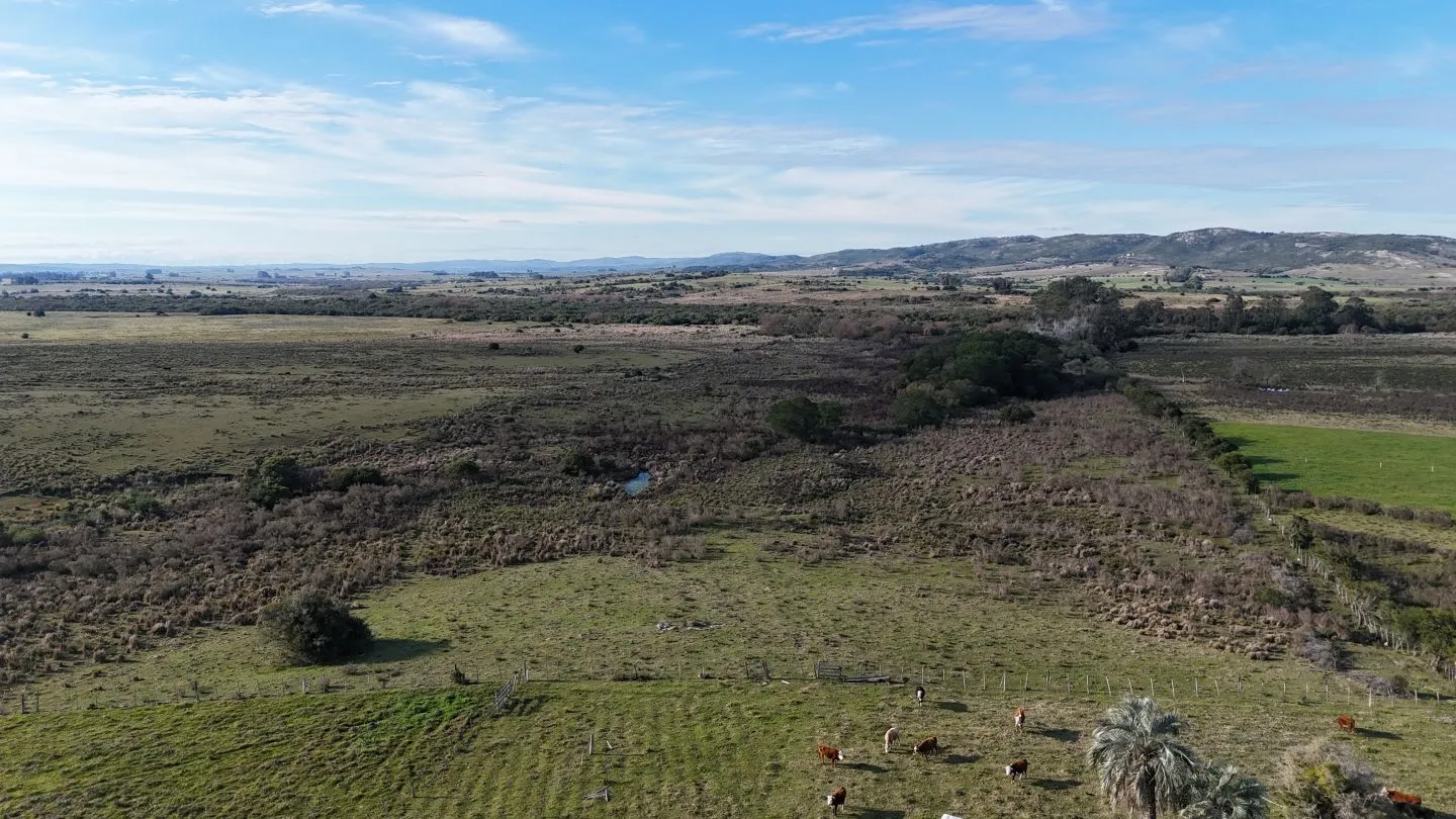 Campo de 36 ha en venta con casa y arroyo, Maldonado Uruguay. — foto 23