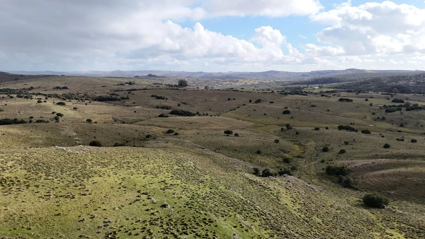 Chacra de 10ha en las sierras de Maldonado — foto 17