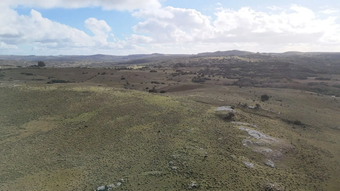 Chacra de 10ha en las sierras de Maldonado — foto 18