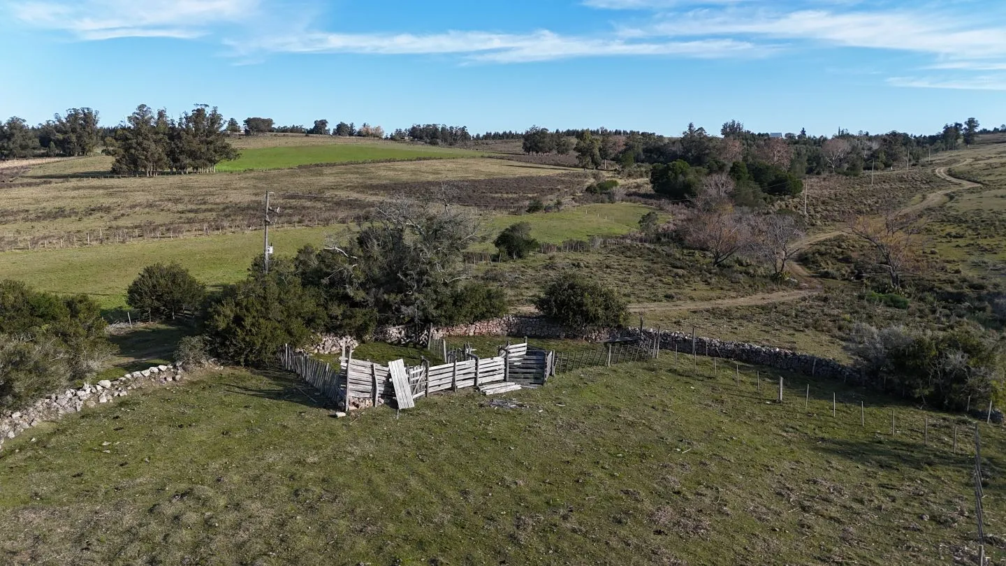 Campo de 36 ha en venta con casa y arroyo, Maldonado Uruguay. — foto 27