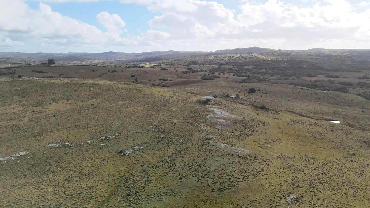 Chacra de 10ha en las sierras de Maldonado — foto 19