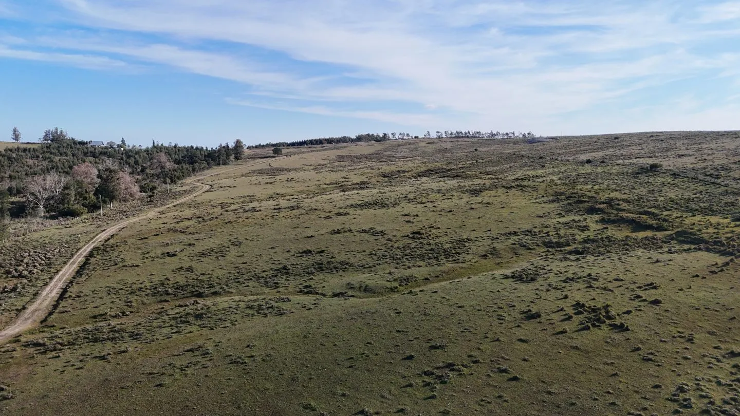 Campo de 36 ha en venta con casa y arroyo, Maldonado Uruguay. — foto 28