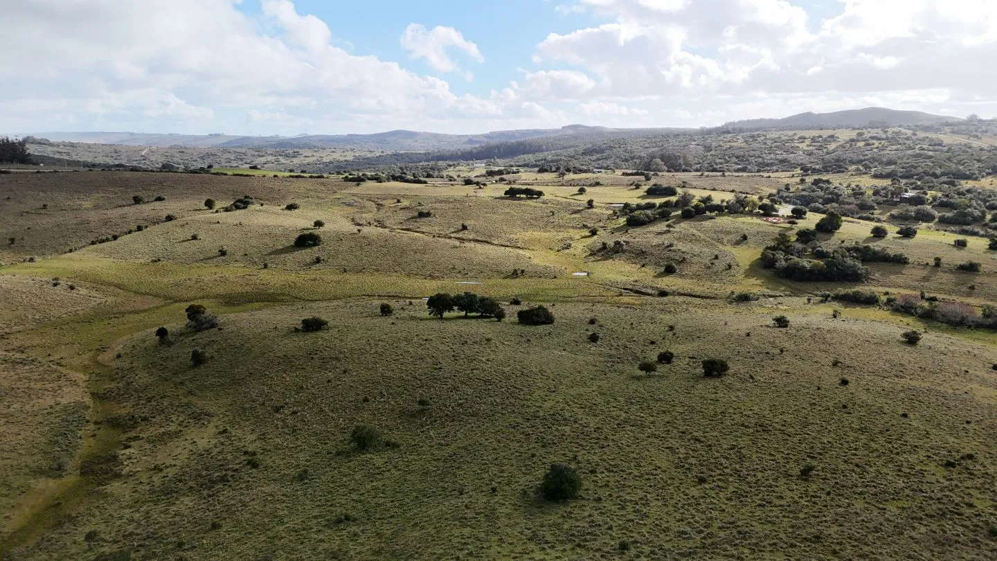 Chacra de 10ha en las sierras de Maldonado — foto 21
