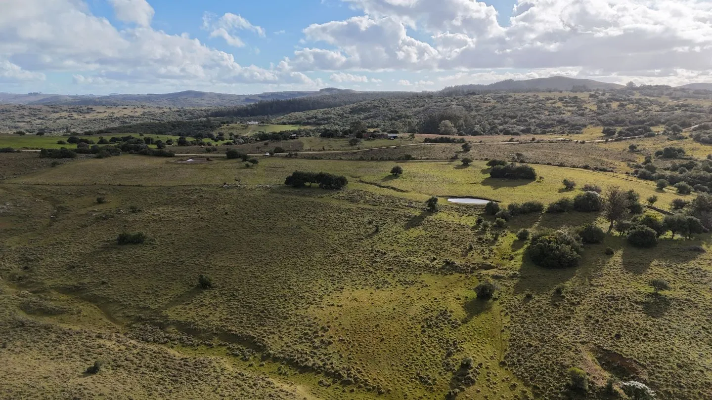 Chacra de 10ha en las sierras de Maldonado — foto 22