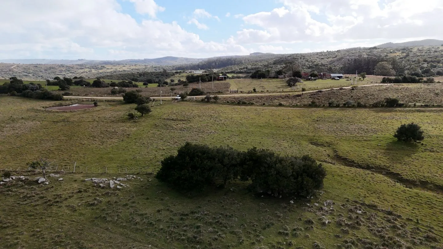 Chacra de 10ha en las sierras de Maldonado — foto 23