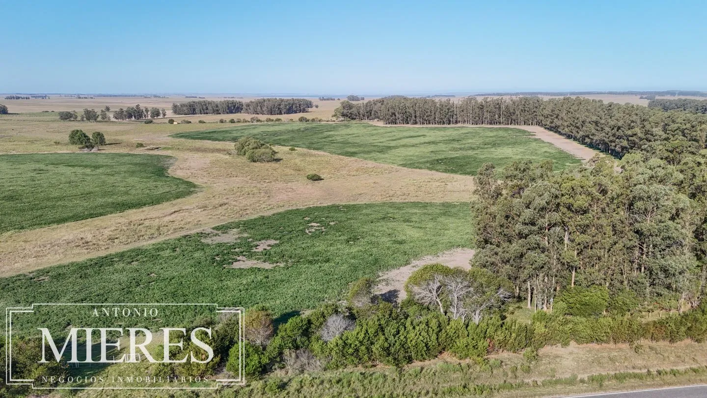 Campo en venta de 147 ha en las Garzas José Ignacio Uruguay. — foto 1