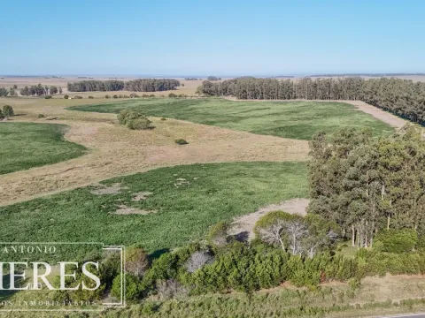 Campo en venta de 147 ha en las Garzas José Ignacio Uruguay.