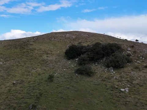 Chacra de 6.5ha en Sierras de Carape — foto 5