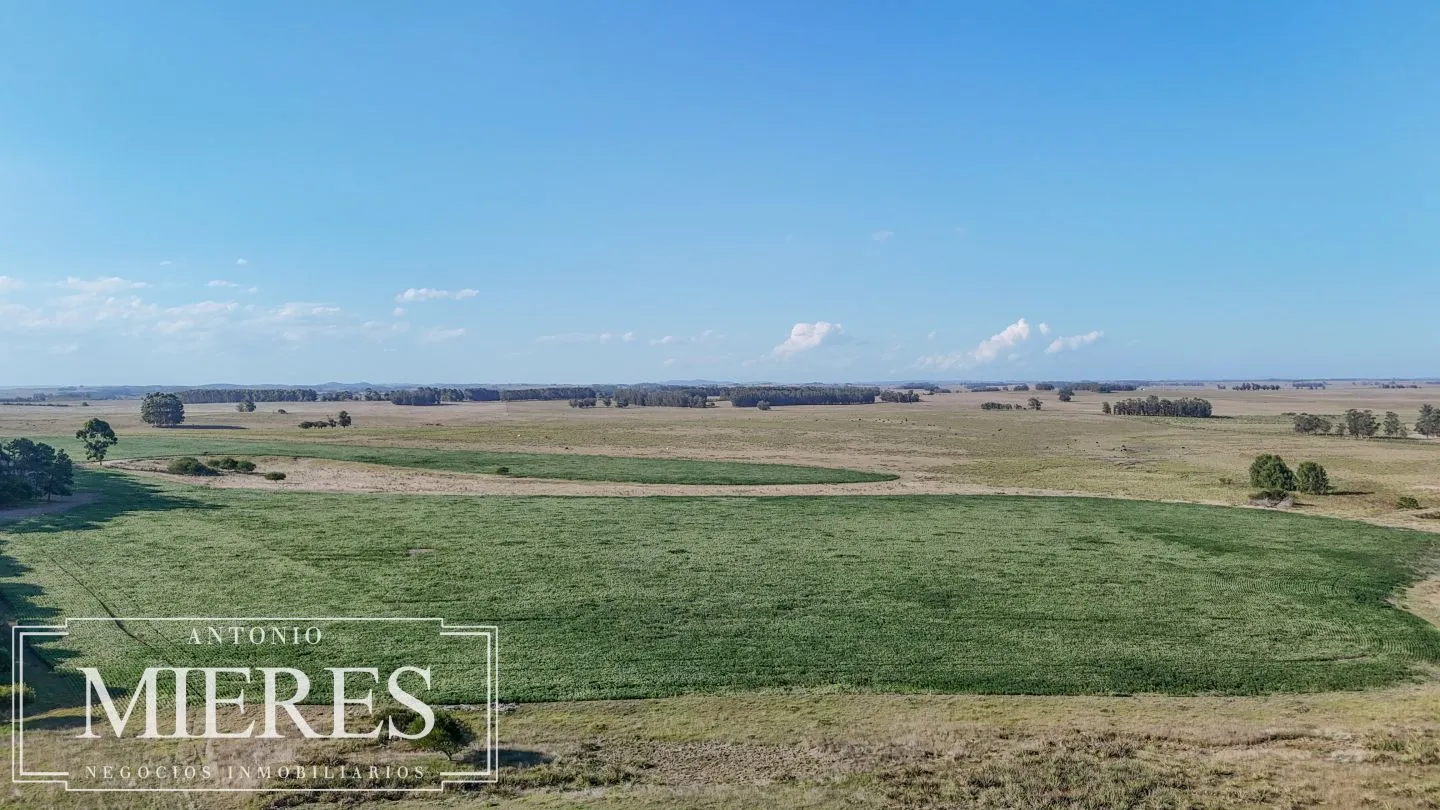 Campo en venta de 147 ha en las Garzas José Ignacio Uruguay. — foto 2
