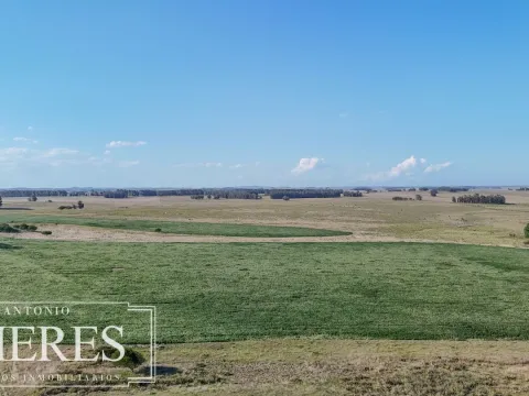Campo en venta de 147 ha en las Garzas José Ignacio Uruguay. — foto 2