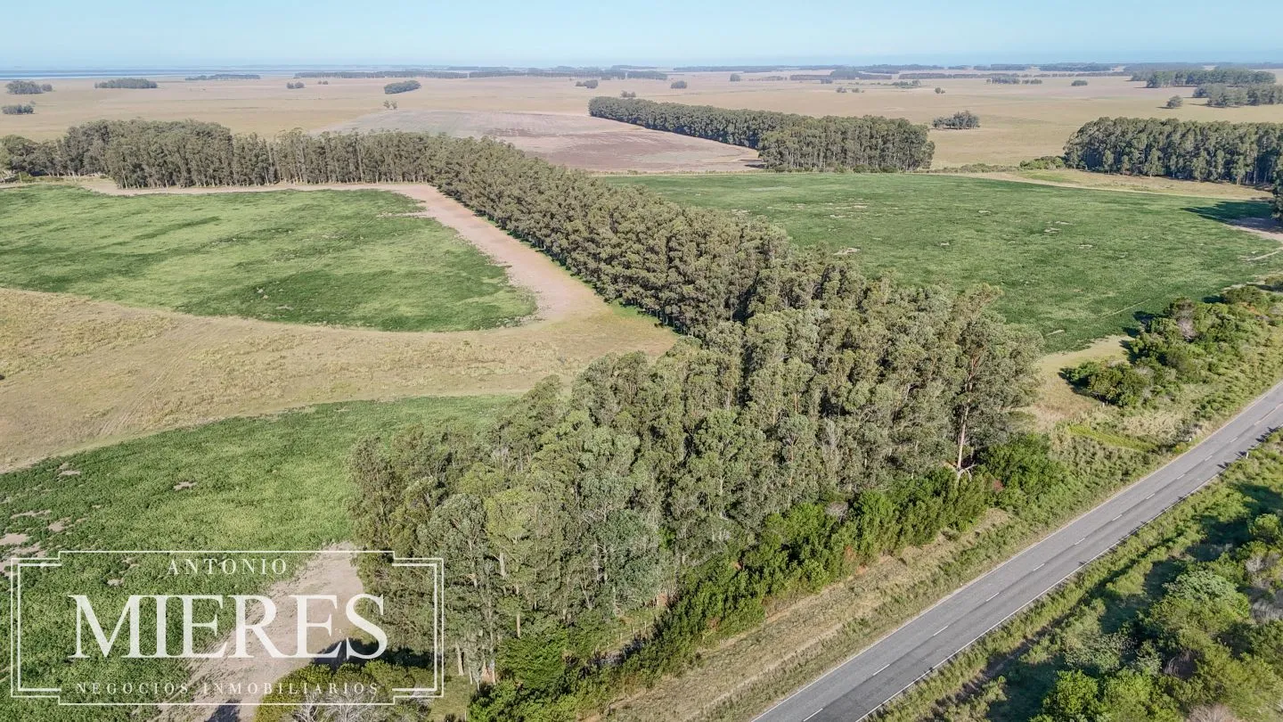 Campo en venta de 147 ha en las Garzas José Ignacio Uruguay. — foto 3