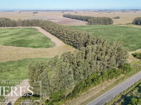 Campo en venta de 147 ha en las Garzas José Ignacio Uruguay. — foto 3