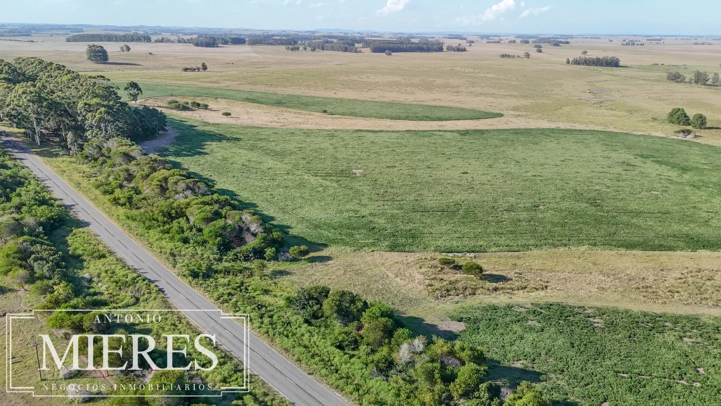 Campo en venta de 147 ha en las Garzas José Ignacio Uruguay. — foto 4