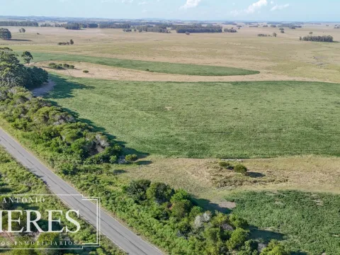 Campo en venta de 147 ha en las Garzas José Ignacio Uruguay. — foto 4