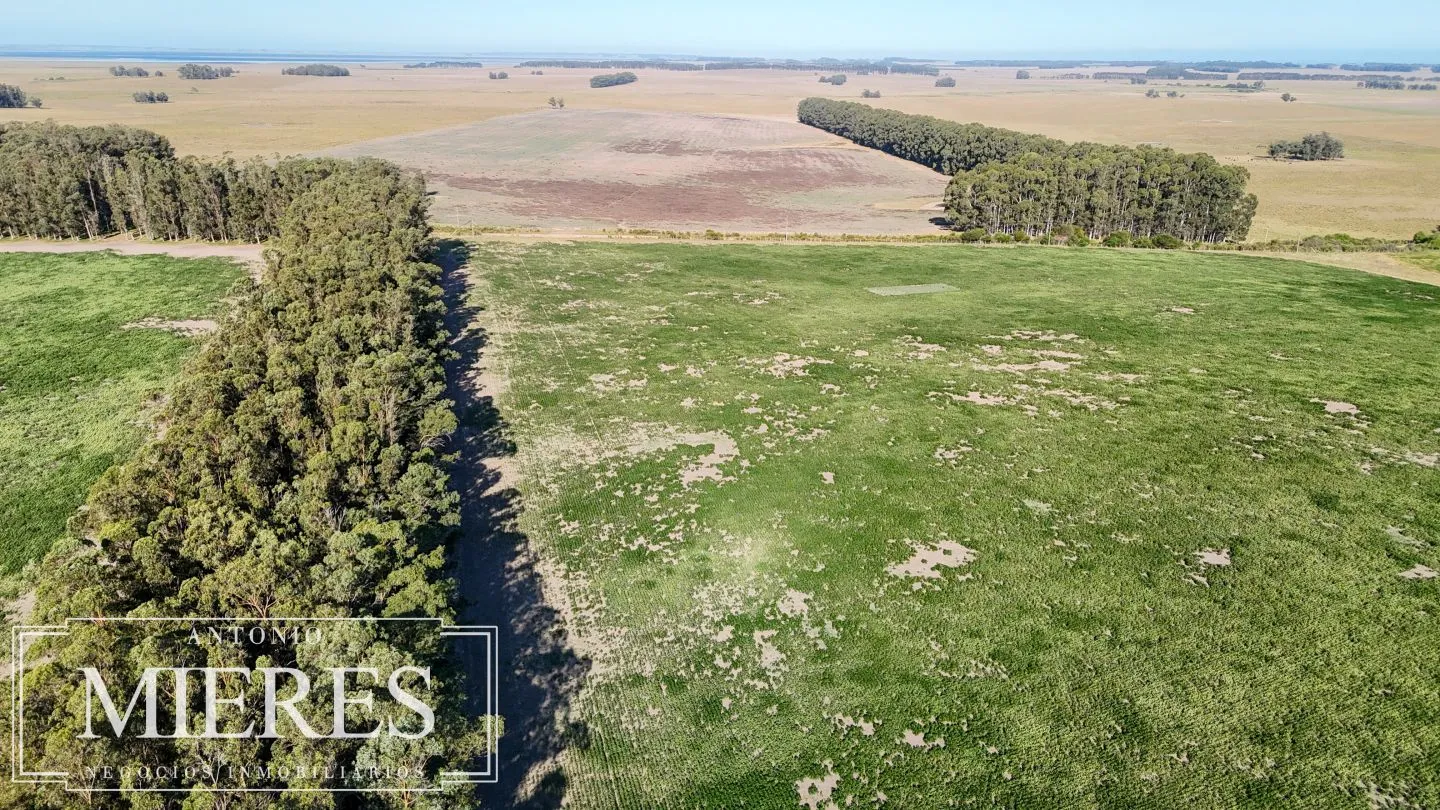 Campo en venta de 147 ha en las Garzas José Ignacio Uruguay. — foto 5