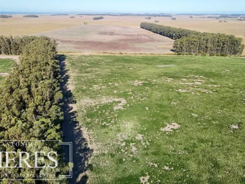 Campo en venta de 147 ha en las Garzas José Ignacio Uruguay. — foto 5