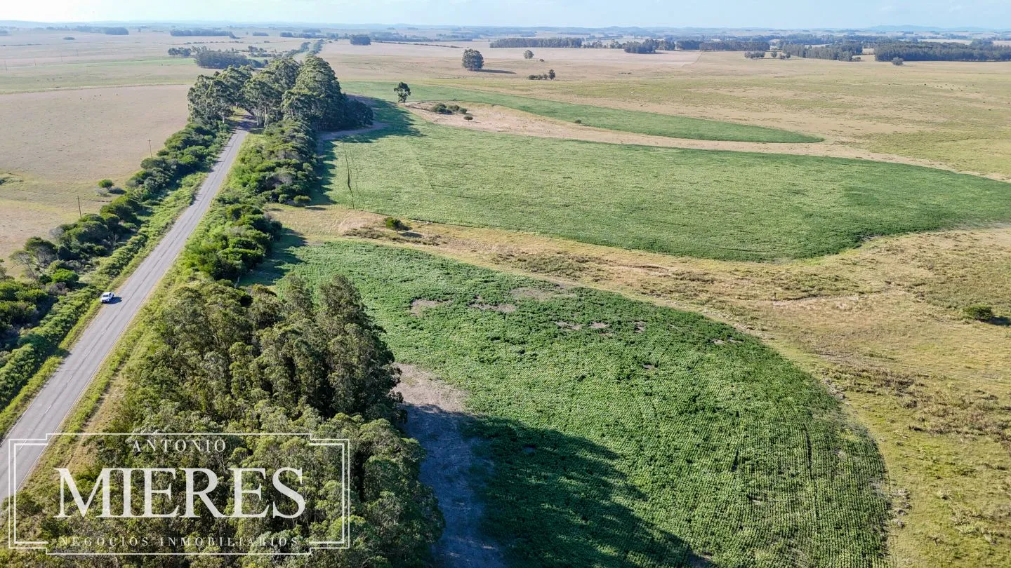 Campo en venta de 147 ha en las Garzas José Ignacio Uruguay. — foto 6