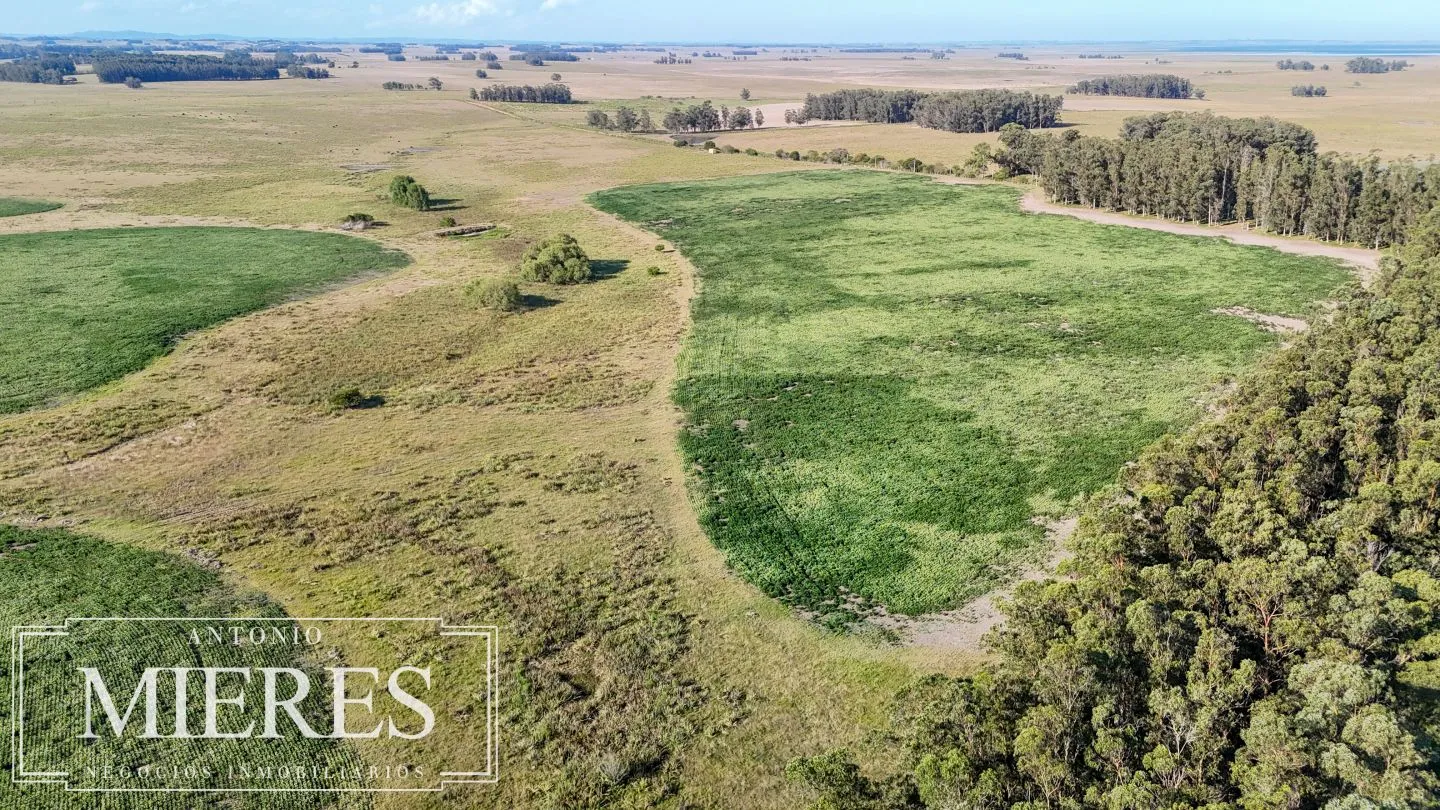 Campo en venta de 147 ha en las Garzas José Ignacio Uruguay. — foto 7