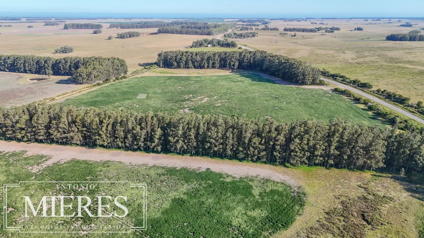 Campo en venta de 147 ha en las Garzas José Ignacio Uruguay. — foto 8