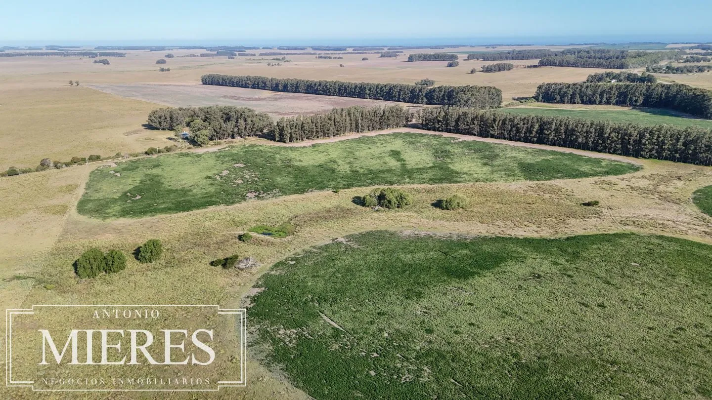 Campo en venta de 147 ha en las Garzas José Ignacio Uruguay. — foto 9