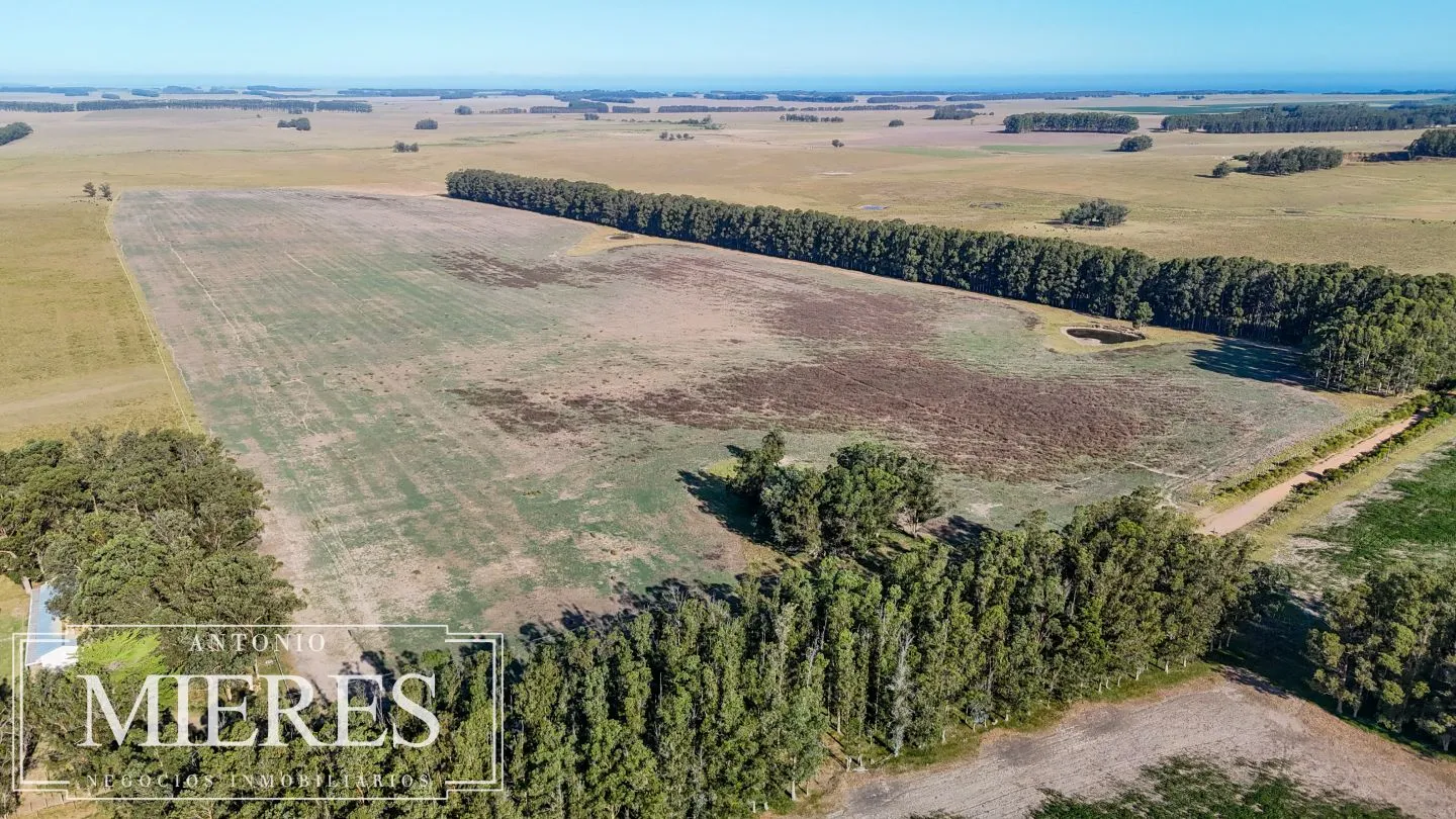 Campo en venta de 147 ha en las Garzas José Ignacio Uruguay. — foto 10