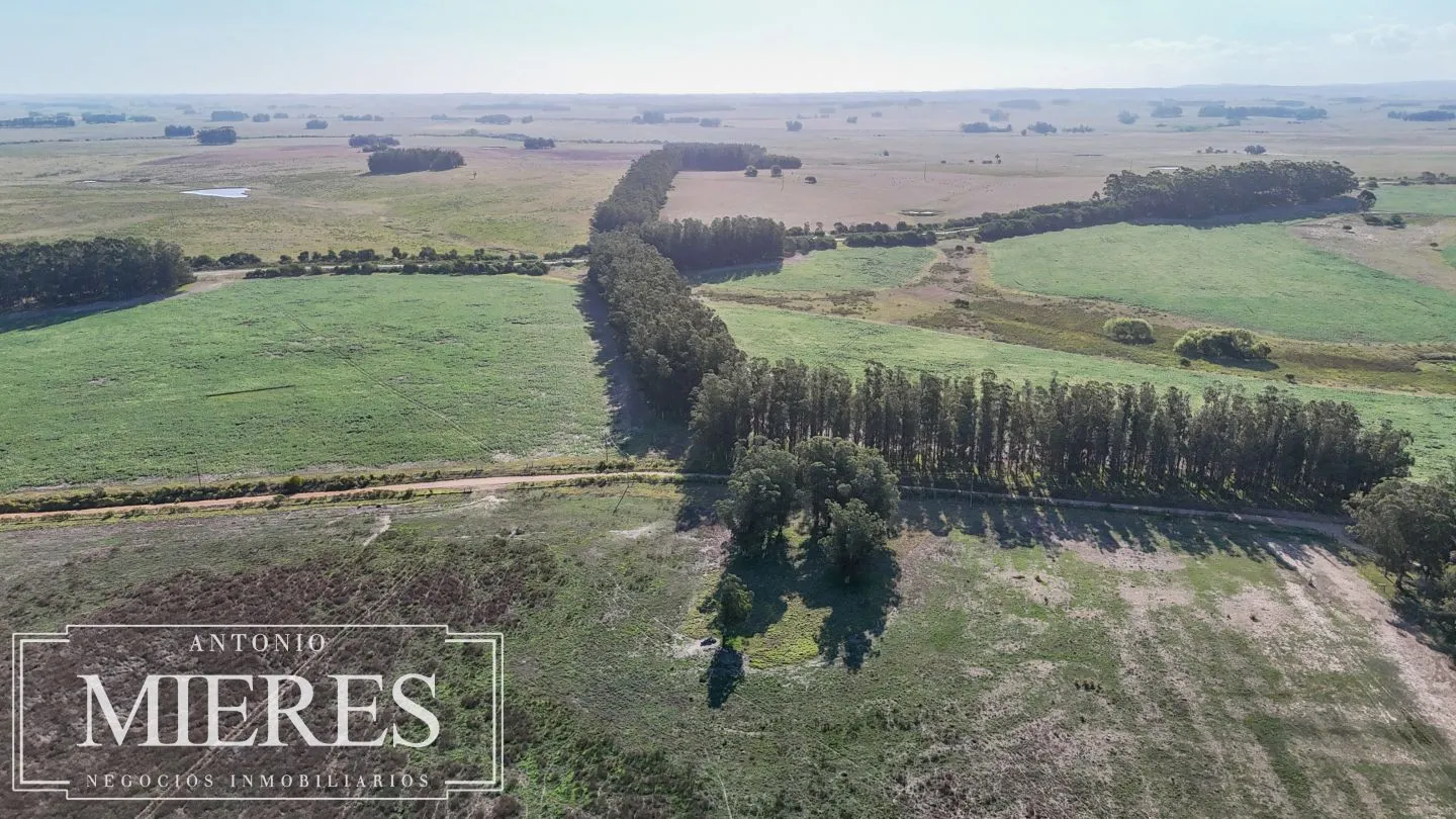 Campo en venta de 147 ha en las Garzas José Ignacio Uruguay. — foto 11