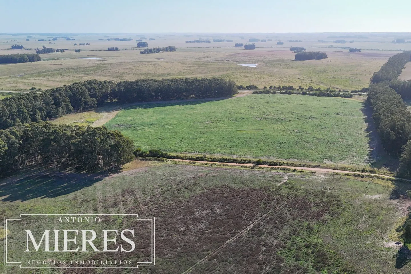 Campo en venta de 147 ha en las Garzas José Ignacio Uruguay. — foto 12