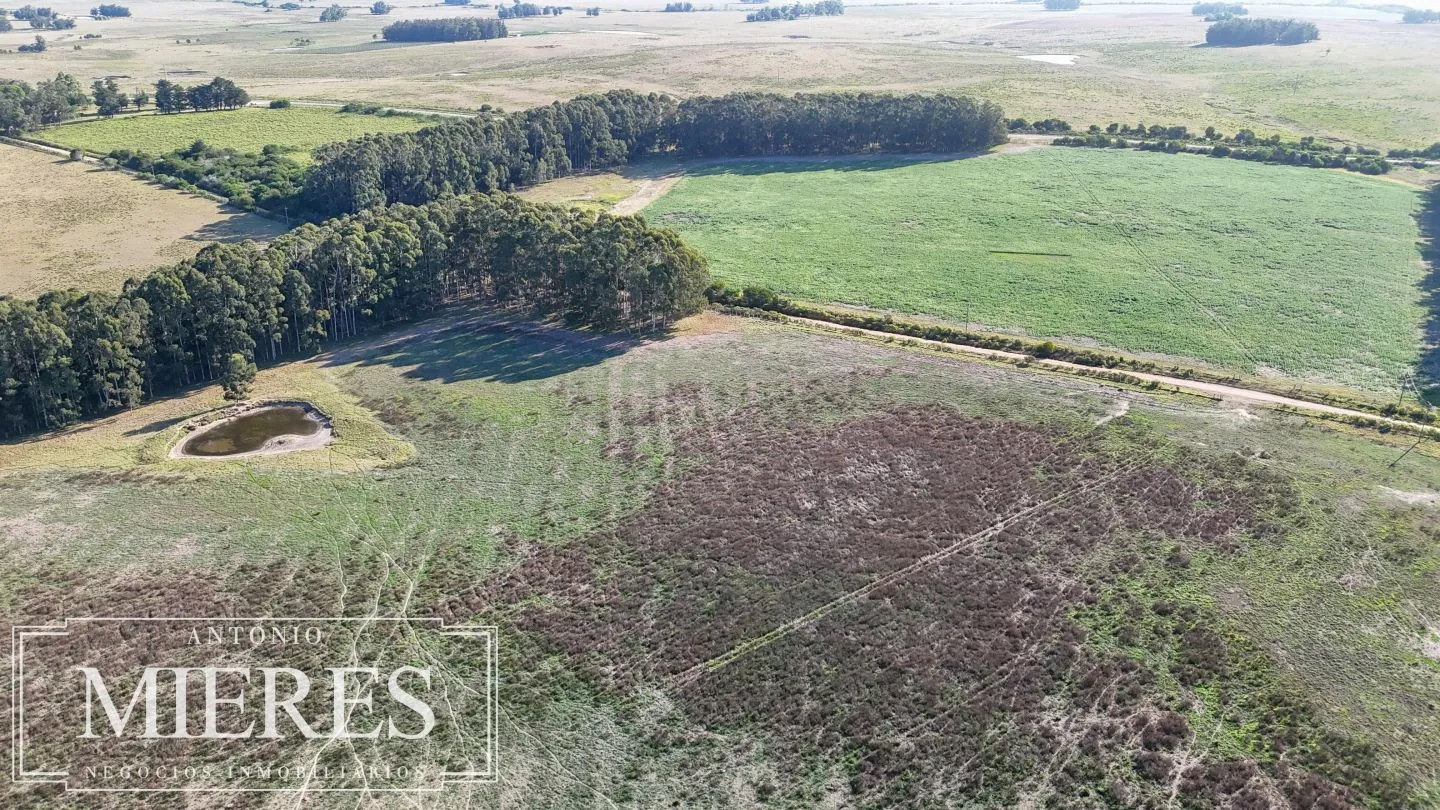 Campo en venta de 147 ha en las Garzas José Ignacio Uruguay. — foto 13
