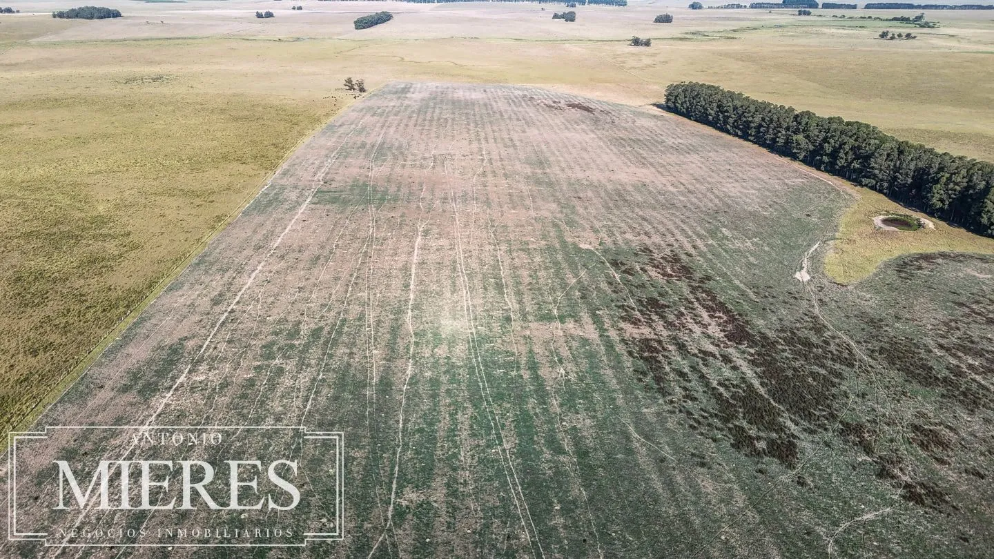 Campo en venta de 147 ha en las Garzas José Ignacio Uruguay. — foto 14