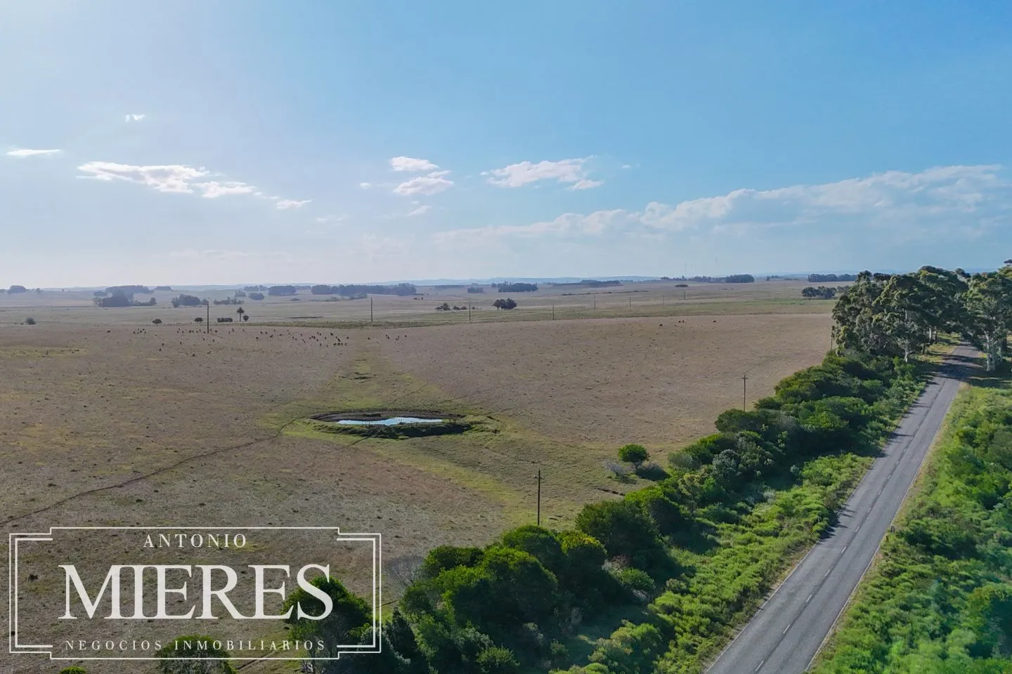 Campo en venta de 147 ha en las Garzas José Ignacio Uruguay. — foto 15