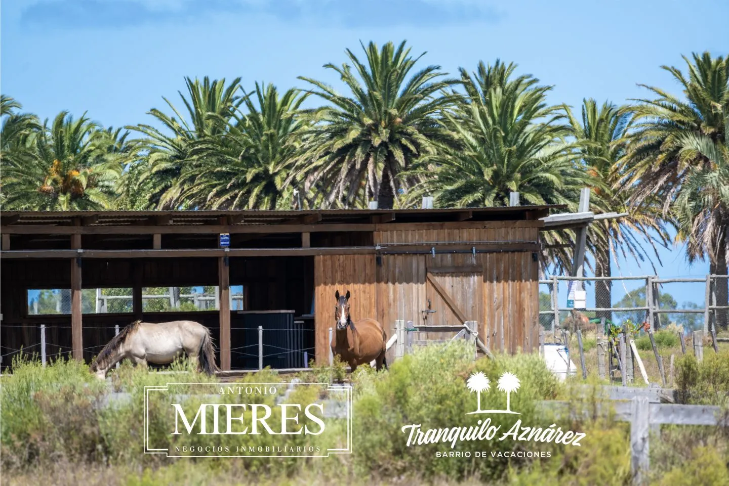 Chacras Marítimas en venta Maldonado, Uruguay. — foto 2
