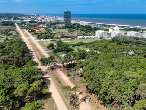 Venta Lote de 8000m2 para altura- Rincón del Indio