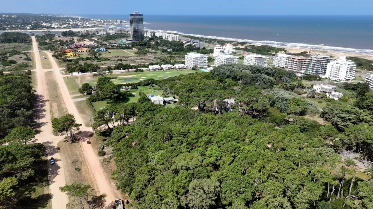 Venta Lote de 8000m2 para altura- Rincón del Indio — foto 2
