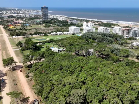 Venta Lote de 8000m2 para altura- Rincón del Indio — foto 2