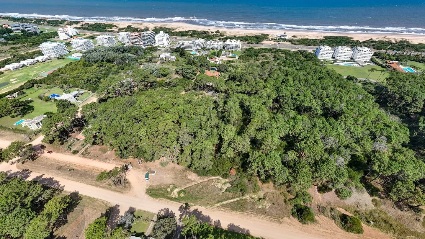 Venta Lote de 8000m2 para altura- Rincón del Indio — foto 3