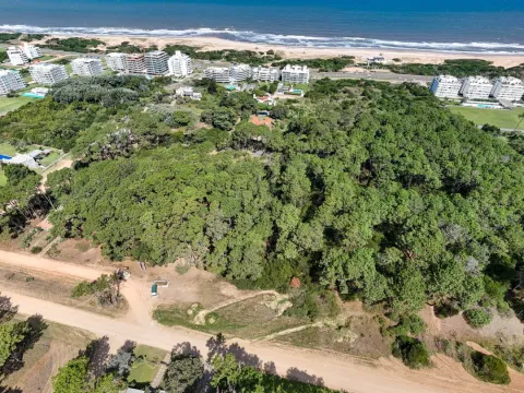Venta Lote de 8000m2 para altura- Rincón del Indio — foto 3
