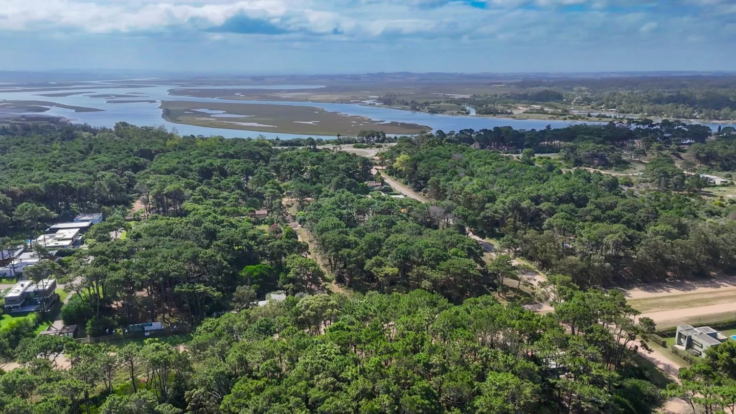 Venta Lote de 8000m2 para altura- Rincón del Indio — foto 4