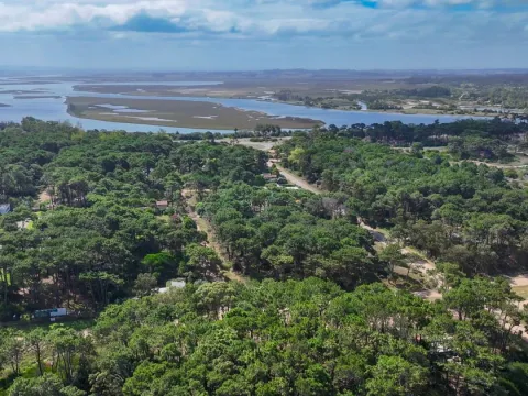 Venta Lote de 8000m2 para altura- Rincón del Indio — foto 4