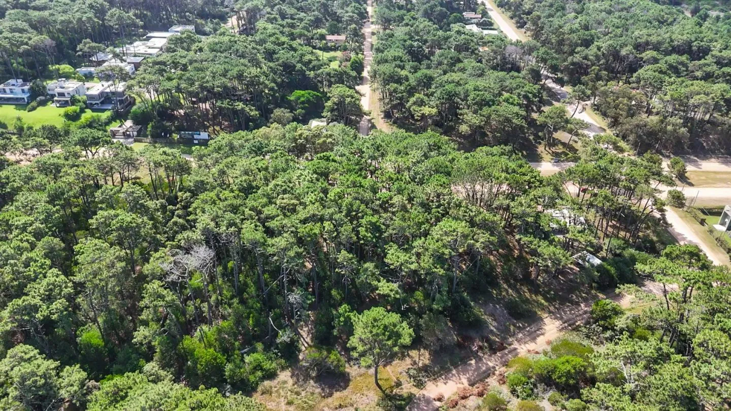 Venta Lote de 8000m2 para altura- Rincón del Indio — foto 5