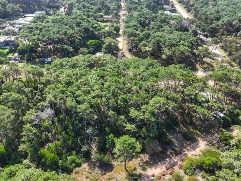 Venta Lote de 8000m2 para altura- Rincón del Indio — foto 5