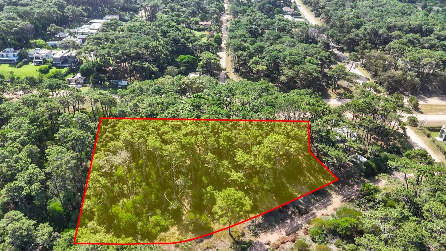 Venta Lote de 8000m2 para altura- Rincón del Indio — foto 6