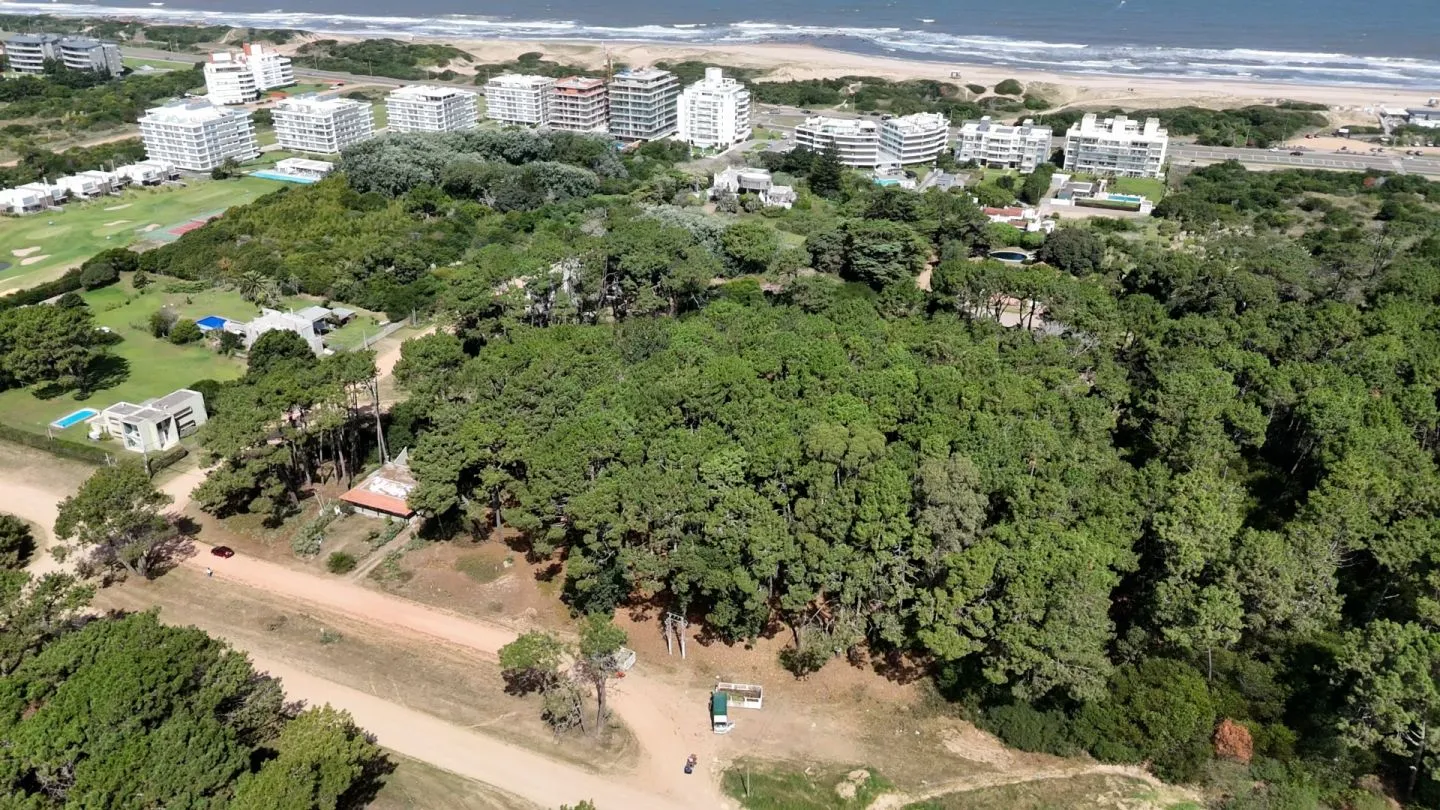 Venta Lote de 8000m2 para altura- Rincón del Indio — foto 8
