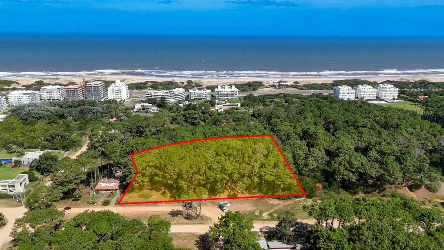 Venta Lote de 8000m2 para altura- Rincón del Indio — foto 9