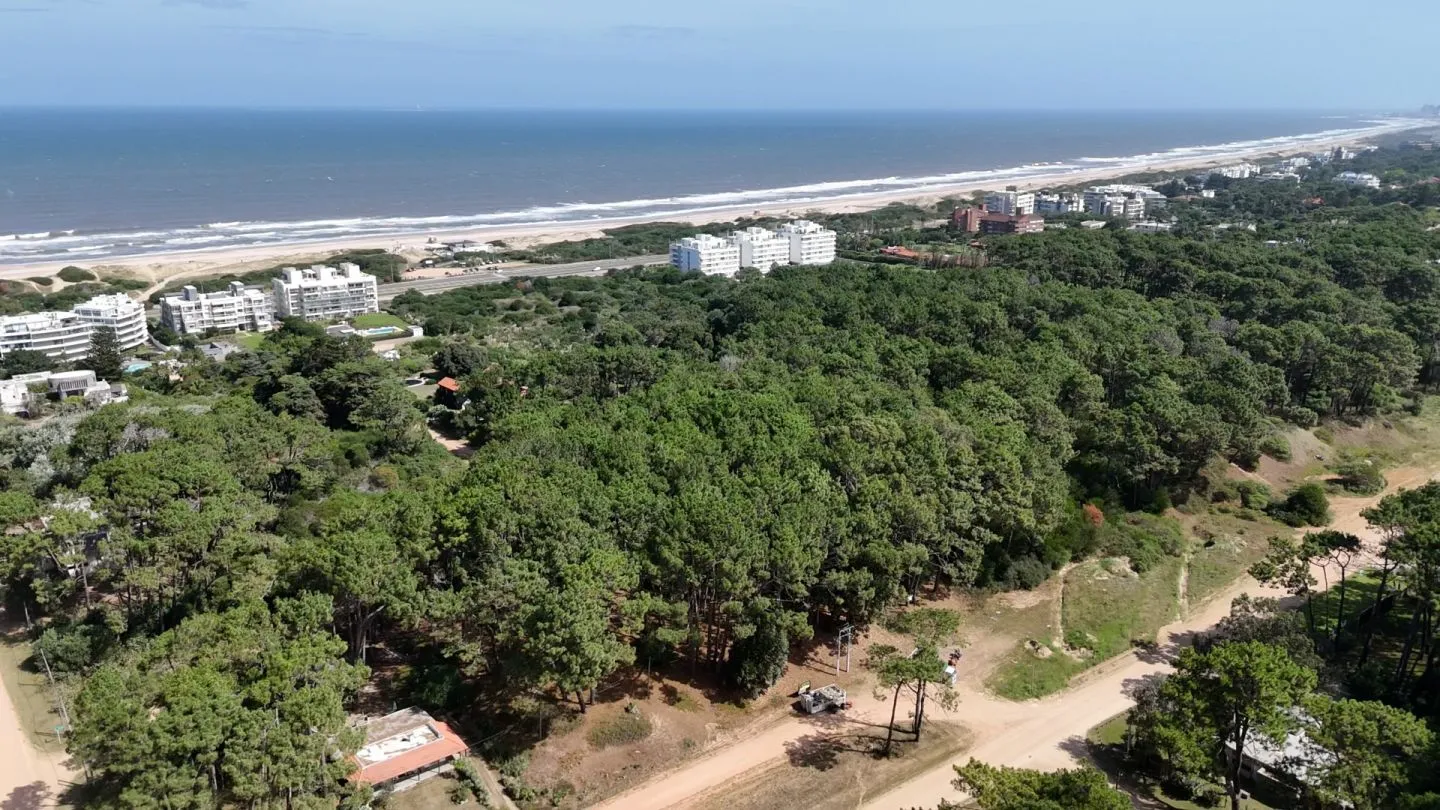 Venta Lote de 8000m2 para altura- Rincón del Indio — foto 10