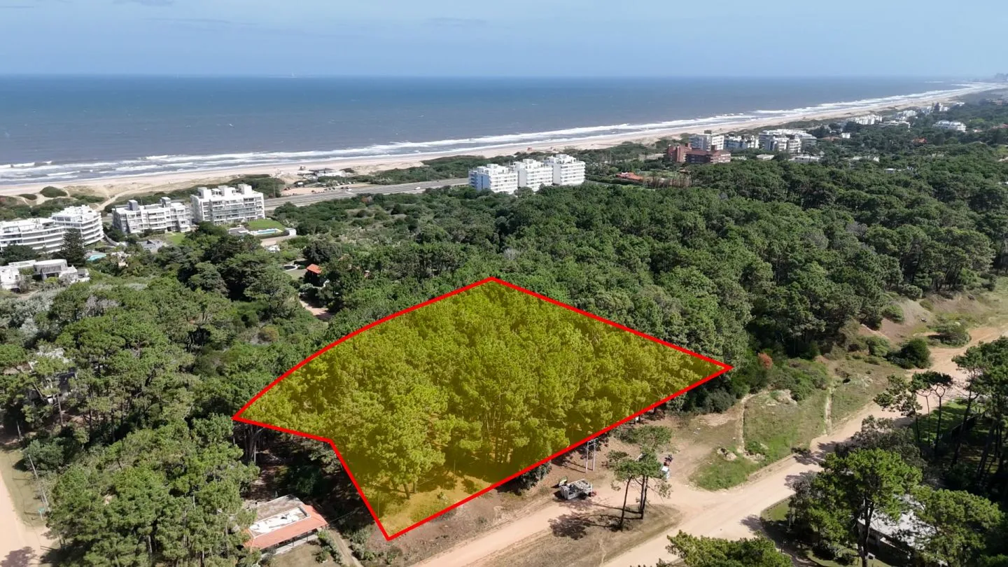 Venta Lote de 8000m2 para altura- Rincón del Indio — foto 11